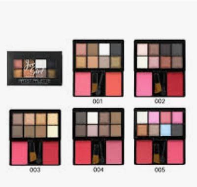 Professional 8 color eye make up Fashion Color branded Eye shadow and Blusher