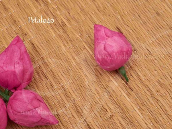 Lotus Buds Pink Heads Kamala Flower Thamarai For Decorations 5 pieces