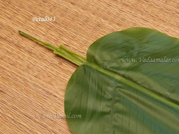 Banana Leaves Green Leaf For Indian Style Decoration 28 inches